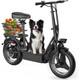 1000W Electric Scooter+Seat for Adults 25 MPH 45 Miles14 Tire UL 2849 Certified