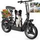 1000W Electric Scooter with Seat for Adults Teen 25 MPH 45 Miles 14Tire UL 2272