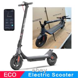 10.2AH Adult Electric Scooter 30KM Long Range Fast Speed 350W E-Scooter With APP