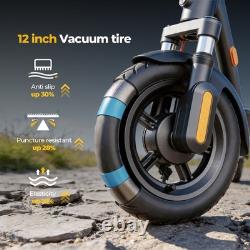12 Tire Electric Scooter for Adults E-Scooter WithShock Suspension High Power