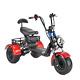 3 Wheels Trike Electric Scooter Golf Cart Fat Tire Citycoco USA Seller