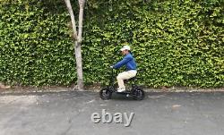 450W Electric Scooter Adults with Seat Foldable Scooter 15.5MPH Sports Ebike