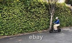 450W Electric Scooter Adults with Seat Foldable Scooter 15.5MPH Sports Ebike