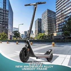 500W Adult Electric Scooter Long Range Folding Urban Commuter Scooter Waterproof