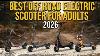 5 Best Off Road Electric Scooter For Adults In 2026 High Performance
