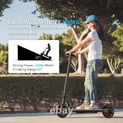 8'' Foldable Electric Scooter 250W Commuting Scooter for Adults Portable e Bike