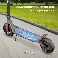 A6L ECO Folding Electric Scooter Adult 350W E-Scooter Safe Urban Commuter 10.2AH