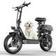 Adult Electric Scoote With Seat 14 Tire 48v 15ah 25mph 32miles 650w Peak Motor