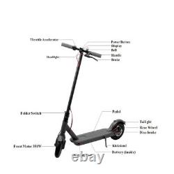 Adult Electric Scooter