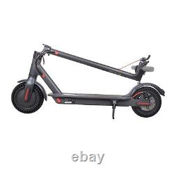 Adult Electric Scooter