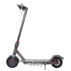 Adult Electric Scooter