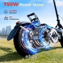Adult Electric Scooter 750W Off-Road Tires Up to 25MPH 28mile Range Max. 264 lbs