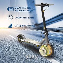 Adult Electric Scooter Foldable 19MPH 30KM E Scooter for Birthday Gift/Commute