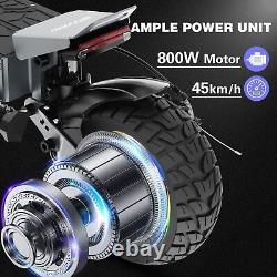 Adult Electric Scooter Foldable 700W 10 Off Road Tires E-Scooter Double Brake