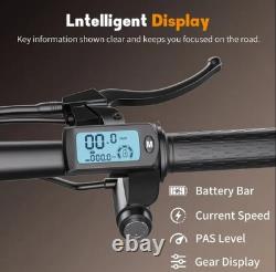 Adult Electric Scooter with Double Brakes, 650w motor, Over 30mph Speed