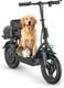 Adults Electric Scooter Peak 750W Peak Motor 48V 10.4ah 28Miles 14 Tire with Seat