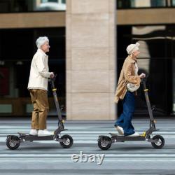 Ausom L1 Adults Electric Scooter, 800W Motor, 70km Range, 10inch Tires E-Scooter