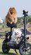 Brand GYROOR 550W Electric Scooter with Seat for Pet Adult up to 20Miles 18.6MPH