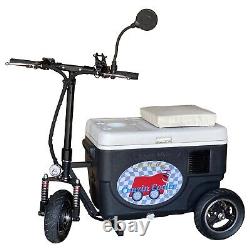 CZHB-Sport X Cruzin Cooler Black 48V Electric Ridable Scooter Cooler