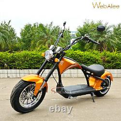 E-Scooter Street Legal Scooter With Big Wheels 20000W 40km 45km/h 60v EEC Bike