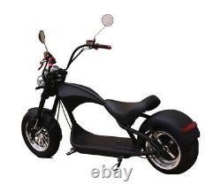 Electric MotorBike Adult