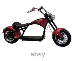 Electric MotorBike Adult