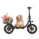 Electric Scooter with Seat, 14 E-Scooter with 36V 7.8AH Battery, 350W Motor