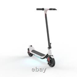 Fast Speed Electric Scooter, 250W Motor, 25KM Long Range Adult E-Scooter APP