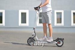 IENYRID M1 Electric Scooter for Adults 500W E-Scooter 36V 12.5Ah 22Mph 22miles