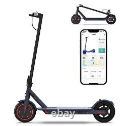 LADPED 350W 8.5INCH Electric Scooter 31KM/H 10.5AH LONG RANGE 30KM E-Scooter