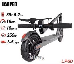 LADPED 350W 8.5INCH Electric Scooter 31KM/H 10.5AH LONG RANGE 30KM E-Scooter