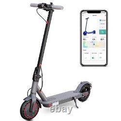 LADPED ELECTRIC SCOOTER 350W ES80, 30km 15.5MPH 10.5AH E-SCOOTER