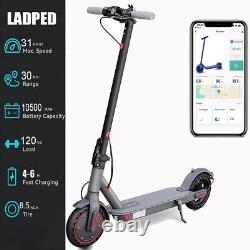 LADPED Electric Scooter 350W Dual Brake App LCD Display Waterproof Foldable NEW