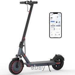 Ladped 10 500W E Scooter Adults Foldable Electric Scooter Dual Shock Absorption