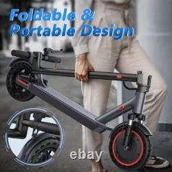 Ladped 10 500W E Scooter Adults Foldable Electric Scooter Dual Shock Absorption