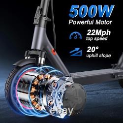 Ladped 10 500W E Scooter Adults Foldable Electric Scooter Dual Shock Absorption