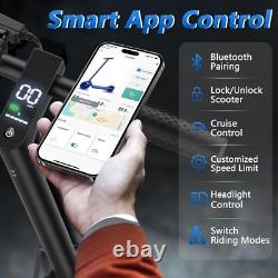 Ladped 10 500W E Scooter Adults Foldable Electric Scooter Dual Shock Absorption