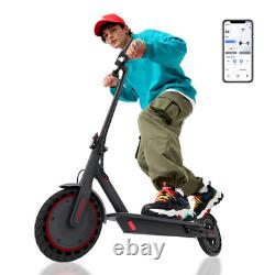 Ladped LP80 ADULT ELECTRIC SCOOTER 350W LONG RANGE 21Miles HIGH SPEED 19MPH