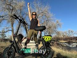 NEW 550W Electric Scooter with Seat for Pet Dog Cat Adult up to 20Miles 18.6MPH