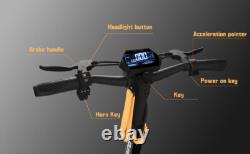 Ruitoo Electric Scooter Adult with Seat Foldable Off Road E-Scooter 1000W 28MPH
