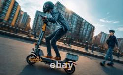 Ruitoo Electric Scooter Adult with Seat Foldable Off Road E-Scooter 1000W 28MPH