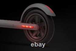 Segway BRAND NEW Ninebot Kickscooter Model E22 300 W Adult Electric Scooter