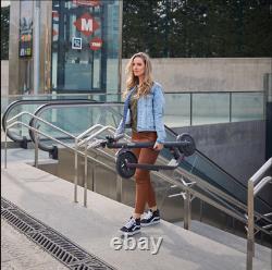 Segway BRAND NEW Ninebot Kickscooter Model E22 300 W Adult Electric Scooter