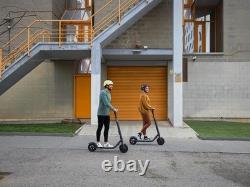Segway BRAND NEW Ninebot Kickscooter Model E22 300 W Adult Electric Scooter