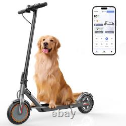 Sigravy Electric Scooter Adult 350W 19MPH HIGH SPEED Foldable withAPP Control