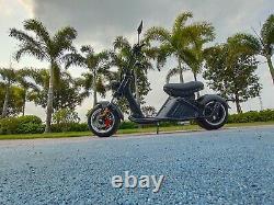 SoverSky Chopper Motorcycle 2000W 60V/20Ah Lithium Fat Tire Scooter M2 Black