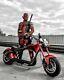 SoverSky Electric Chopper Motorcycle 2000W 20Ah Fat Tire Scooter M1 Red