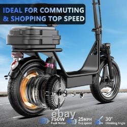 Terrosor 750W Foldable Electric Scooter Adult Adjustable Seat Commuter E-Scooter