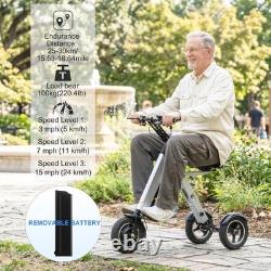 TpMate Electric Scooter 3 wheel for Adult Used Removable Battery Airline Approve