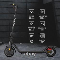 W16S 300W Electric Scooter with Turn Signal, 8.5 Solid Tires, 18Mph &